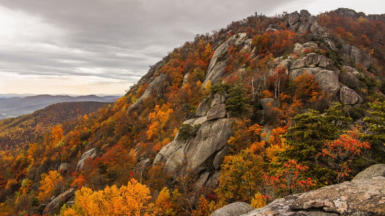 Fall colors on display at Shenandoah National Park