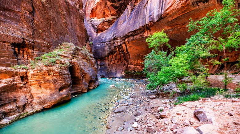 Colorful scenery at Zion National Park