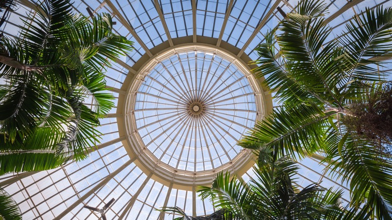 The Palm Dome at Buffalo Bontical Gardens