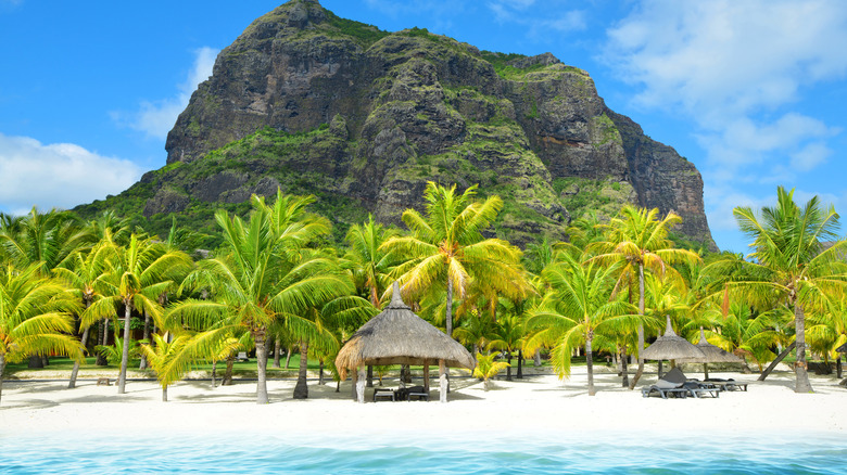 Le Morne Brabant and a white sand beach with palm trees and lounges in Mauritius