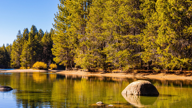 Donner Lake surrounded by trees in Northern California