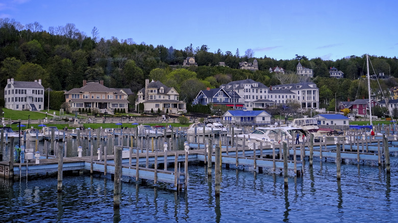 Harbor Springs, Michigan, shoreline filled with boats and mansions