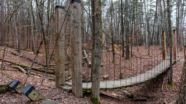 Bridge along hiking trail in forest