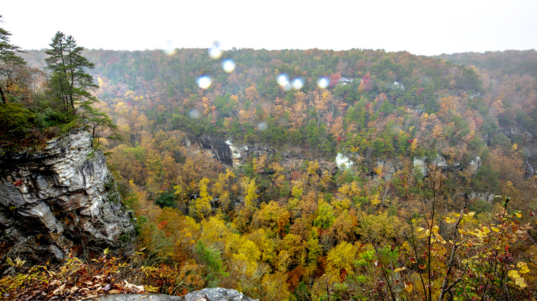 Fall in Mentone, Alabama