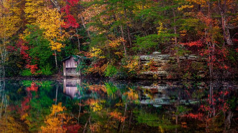 A reflection on spring colors in Mentone