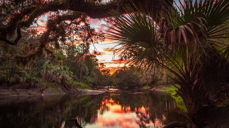 Sunset on the Econlockhatchee River