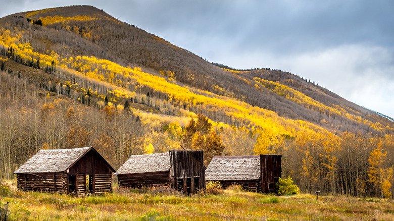 Three buildings in Ashcroft, Colorado