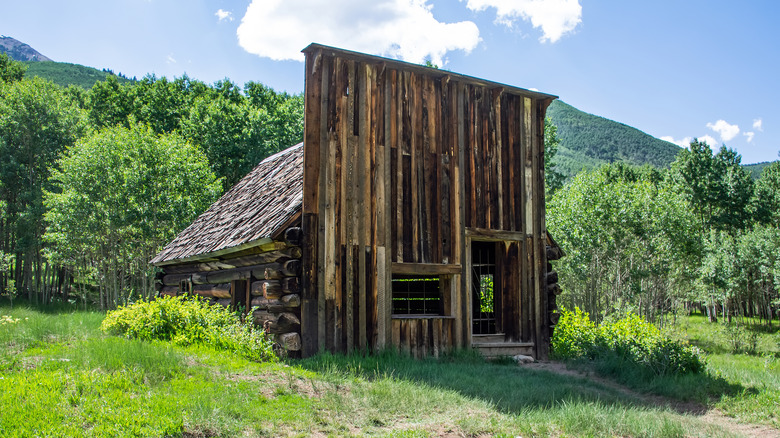 A wooden building in Ashcroft, Colorado with green foliage