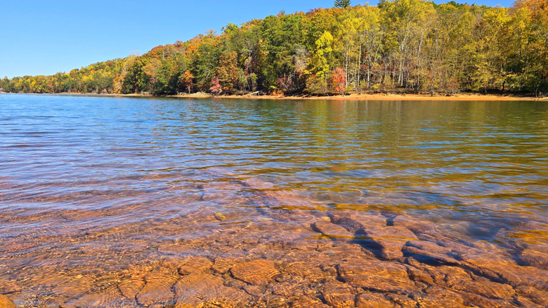 Clear water in Lake Chatuge near Hiawassee, Georgia