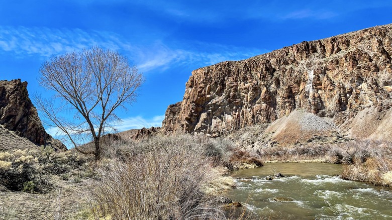 View of Wilson Canyon on a clear day in Nevada