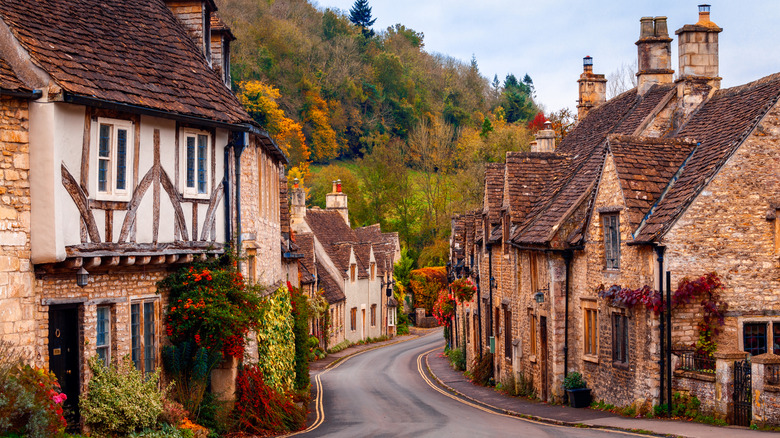 Historic houses in Castle Combe