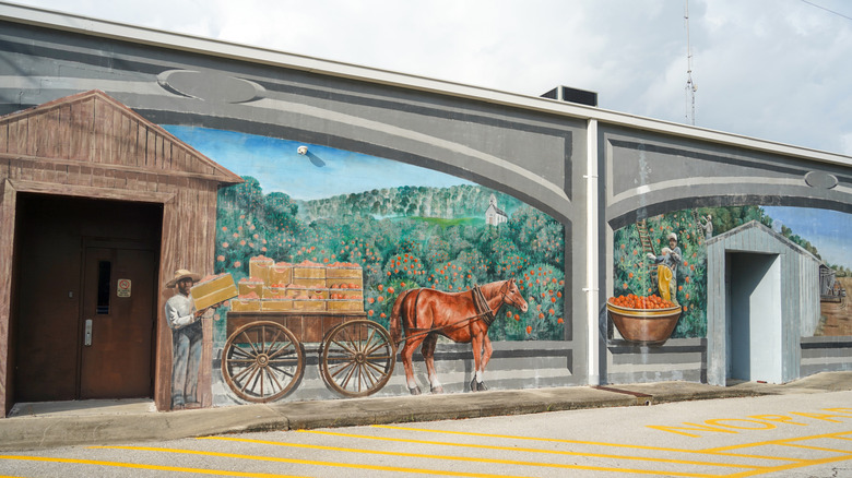 A mural in Lake Placid, FL