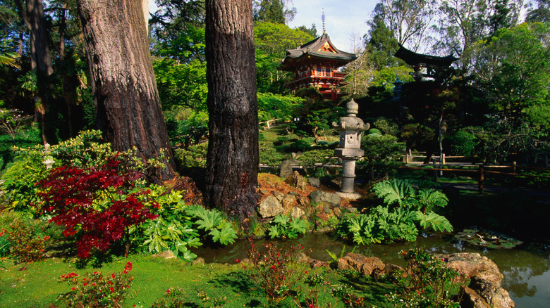 Japanese Tea Garden, Golden Gate Park in San Francisco, California