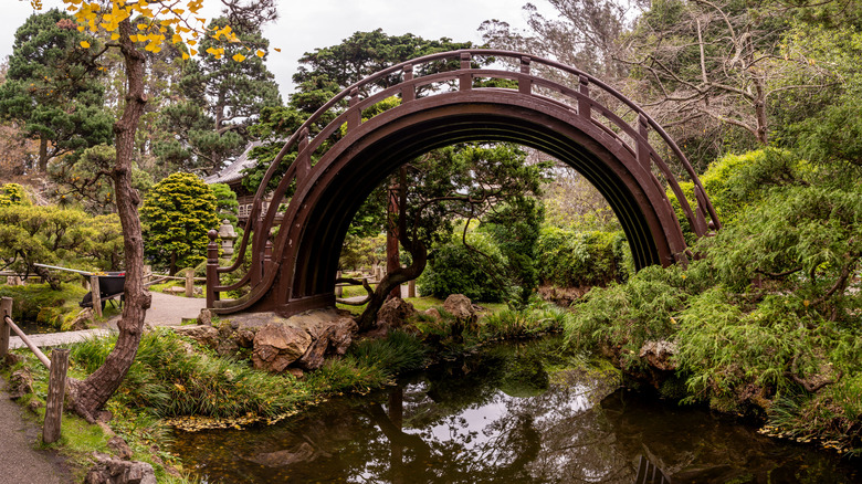 Drum Bridge, Japanese Tea Garden, in San Francisco, California