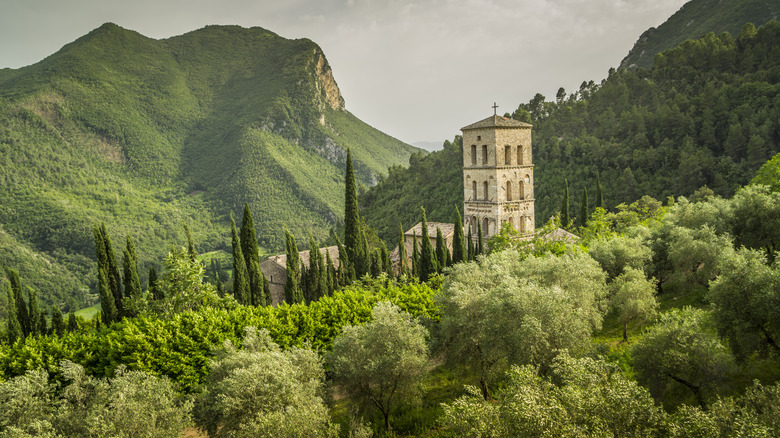 The lush, green countryside in Umbria