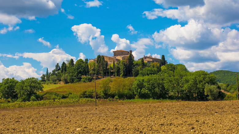 The medieval city of Murlo surrounded by greenery in Tuscany, Italy