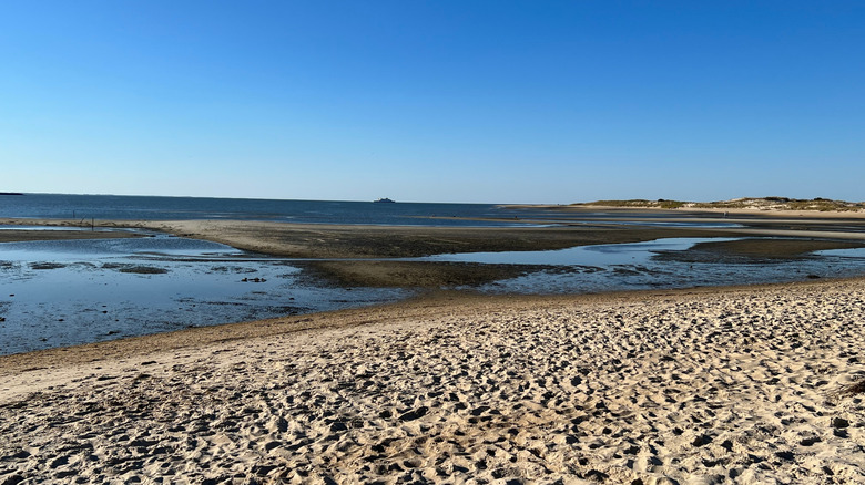 The beach at Cape Henlopen State Park, Delaware