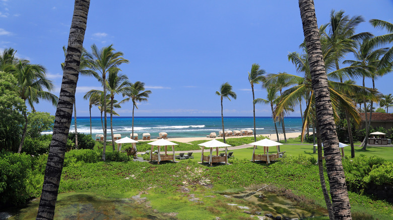 Panoramic view of the Four Seasons Resort Hualalai coastline