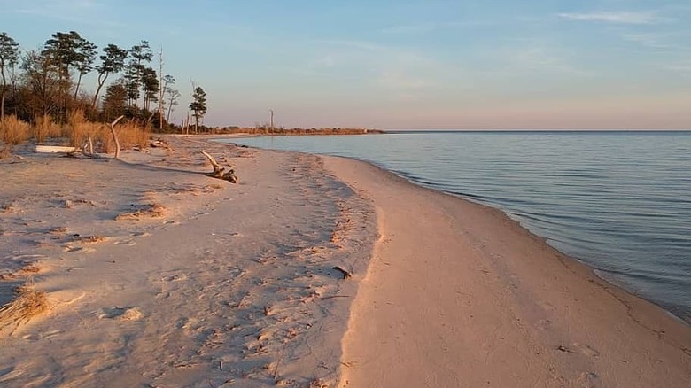 Kilmarnock's beach at Hughlett Point Natural Preserve