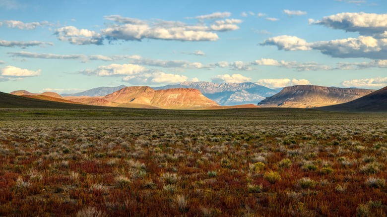 Lunar Crater National Natural Landmark area with grass and wildflowers