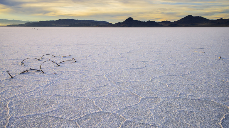 Bonneville Flats in West Wendover, Nevada