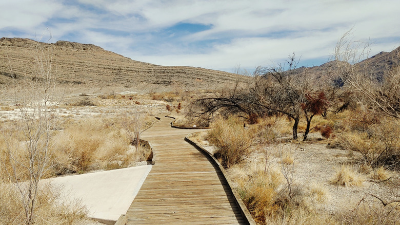 Wooden path to Devils Hole in the Ash Meadows National Wildlife Refuge