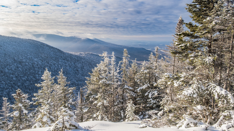 Overlooking Mt. Carrigain in New Hampshire's White Mountains