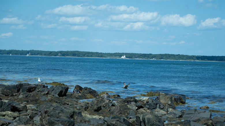 View of the rocky shoreline at Odiorne Point