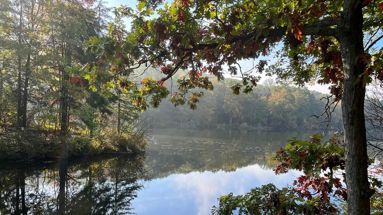 The serene lake scenery at Pyramid Mountain Natural Historic Area in New Jersey