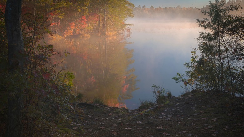 Lake covered with fog