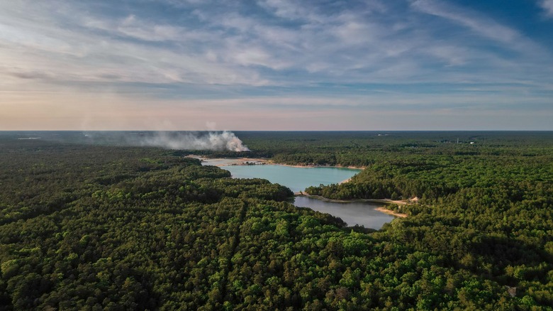 Aerial view of a lake in the middle of a huge forest