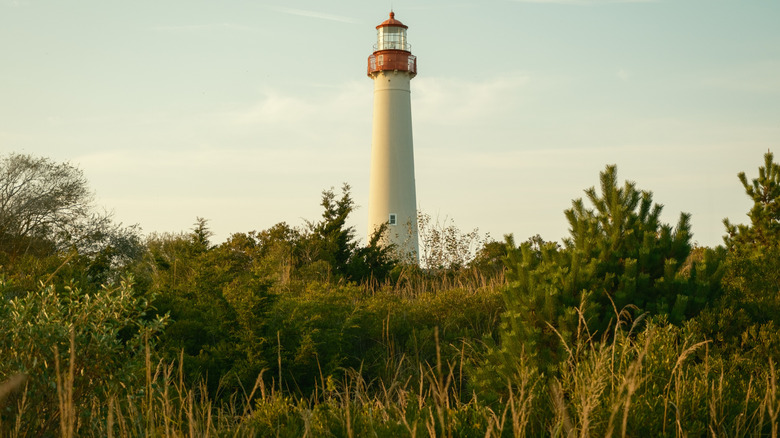 A lighthouse in Cape May National Park, New Jersey