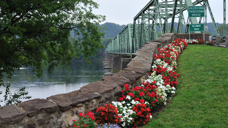 Flowered grassy patch leading up to bridge over Delaware River