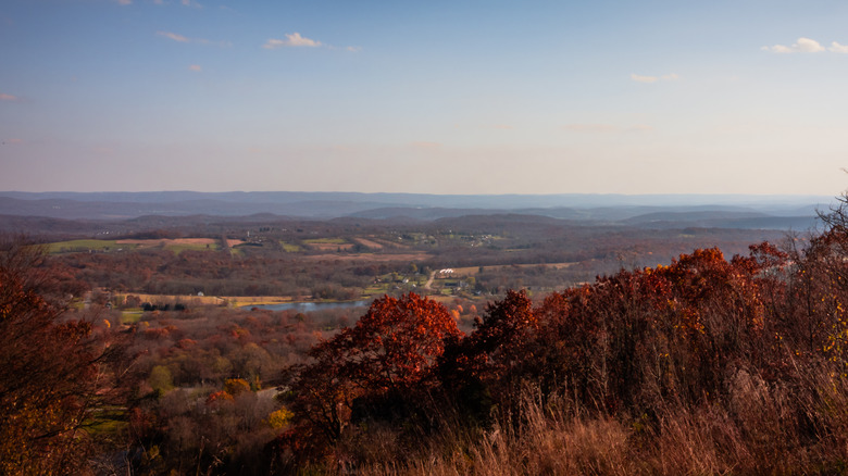 Sussex County viewpoint