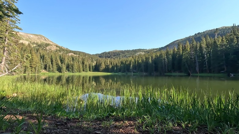 View of Heart Lake, New Mexico, surrounded by trees and mountains