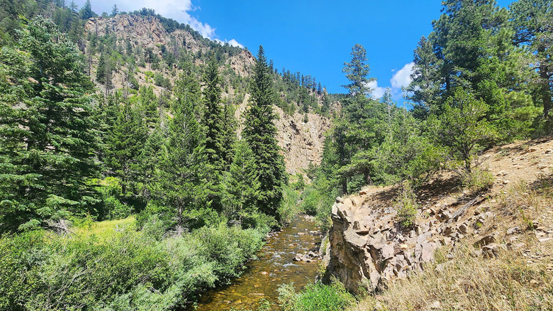 Scenic view of a creek running through Carson National Forest with mountainous backdrop in New Mexico