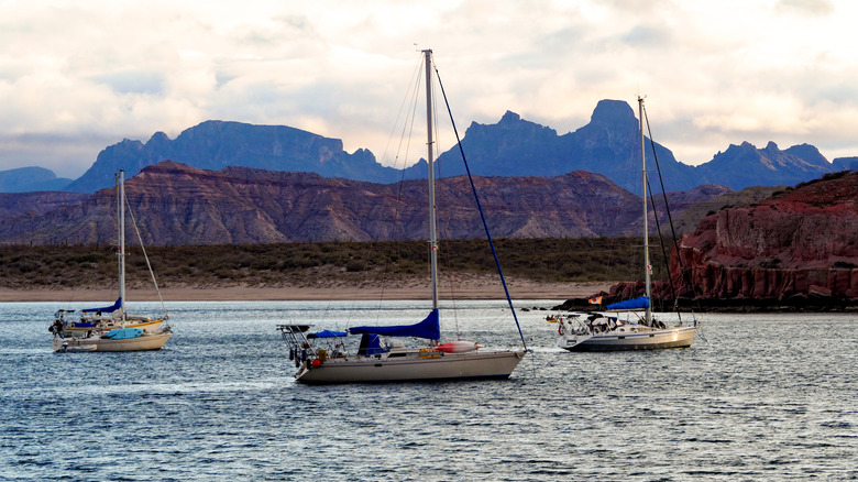 Sailboats on Elephant Butte Lake New Mexico