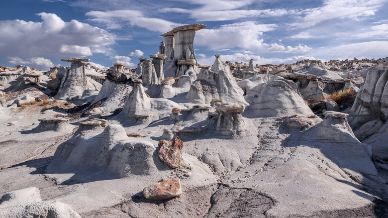 Rock formations in Valley of Dreams near Ah-Shi-Sle-Pah Wilderness in New Mexico