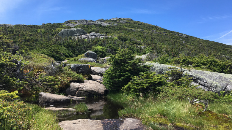 Steep hiking trail with boulders