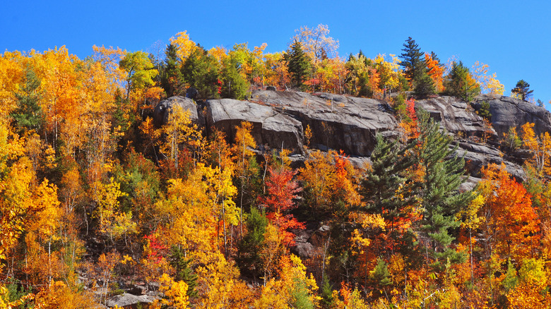 Autumn foliage in the Adirondacks