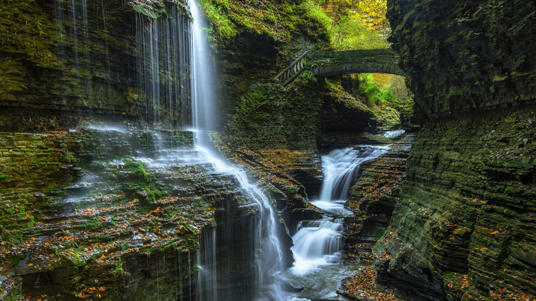 Waterfalls in a gorge with a bridge passing over