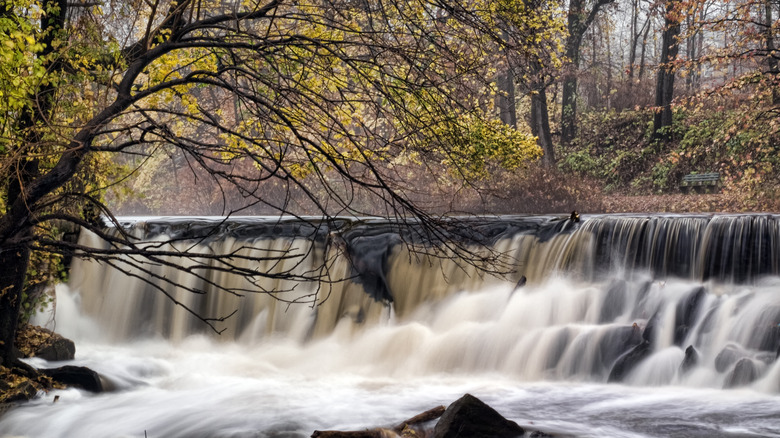 Waterfall in a forest