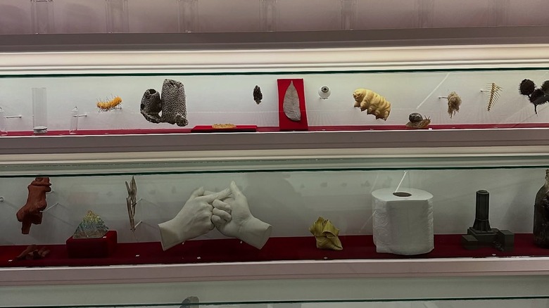 Assorted artifacts behind museum glass