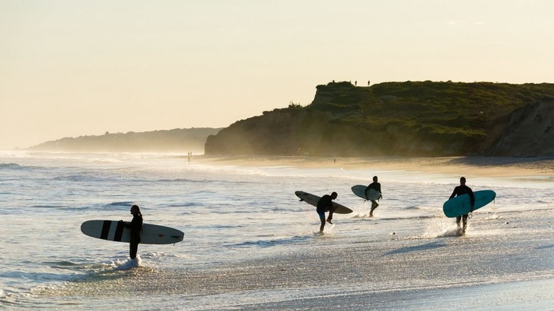 Surfers walk in waves at Montauk beach