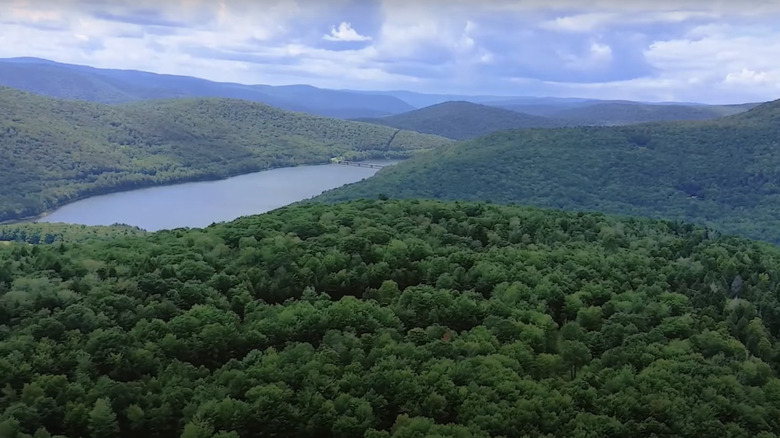 Accord New York's forests and mountains from above