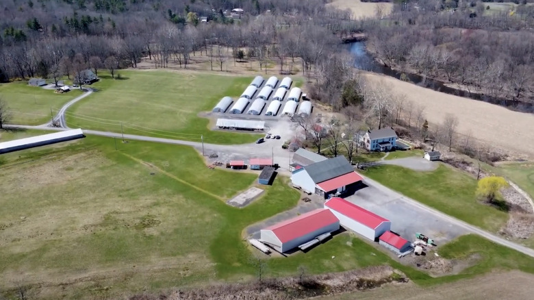 Saunderskill Farm from above