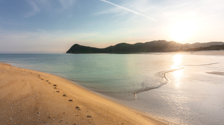 Golden sand beach at Abel Tasman National Park, New Zealand