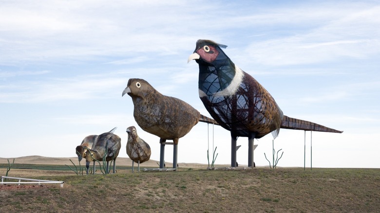 Sculpture of five metal pheasants on a field in North Dakota