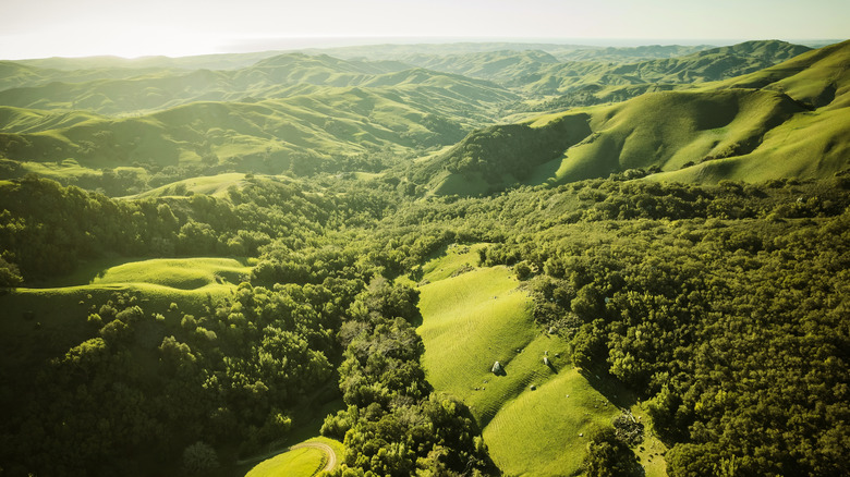 Rolling green hills