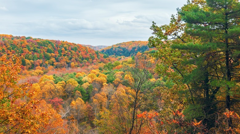 Mohican State Park Vista Point